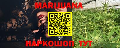 spice Свободный